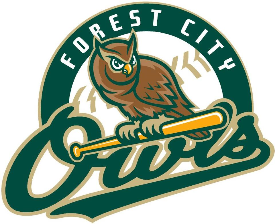 Forest City Owls 2008-Pres Primary Logo v2 iron on heat transfer